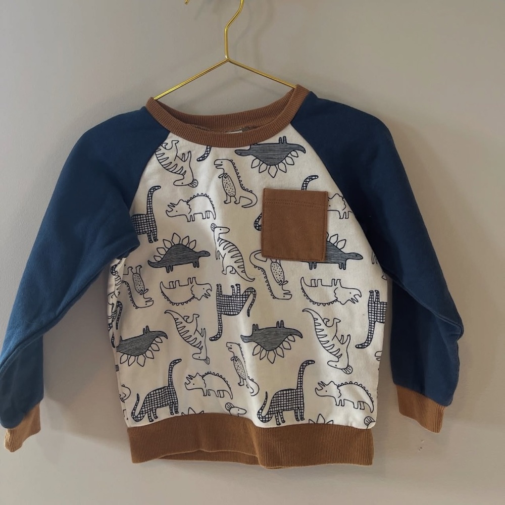 Petit Lem Blue and Brown Dinosaur Sweatshirt and Pants
